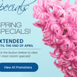 Bohley_Popup_SpringSpecials-18